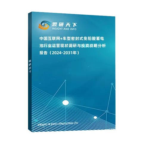 中國互聯(lián)網(wǎng)+車型密封式免鉛酸蓄電池行業(yè)運(yùn)營現(xiàn)狀調(diào)研與投資戰(zhàn)略分析報(bào)告（2024-2031年）