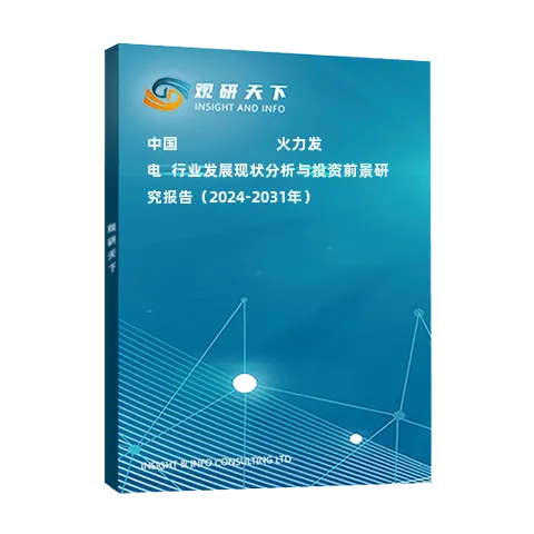 中國(guó)???????????火力發(fā)電?行業(yè)發(fā)展現(xiàn)狀分析與投資前景研究報(bào)告（2024-2031年）