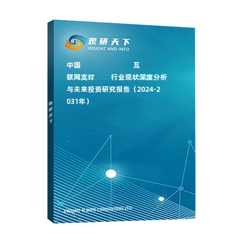 中國?????????????互聯(lián)網(wǎng)支付????行業(yè)現(xiàn)狀深度分析與未來投資研究報(bào)告（2024-2031年）